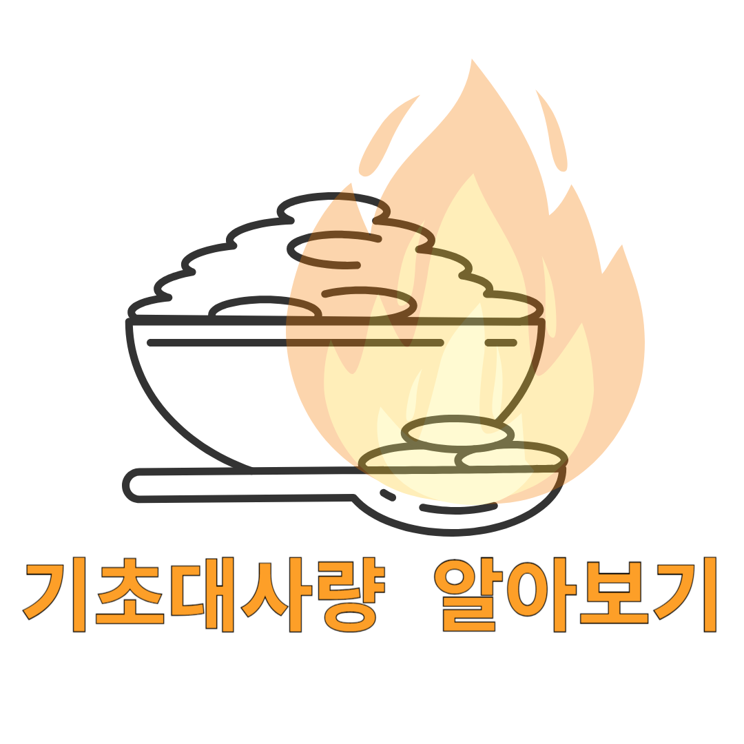 기초대사량