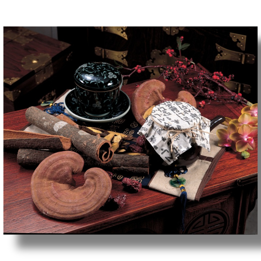 차가버섯과 관련된 사진입니다.