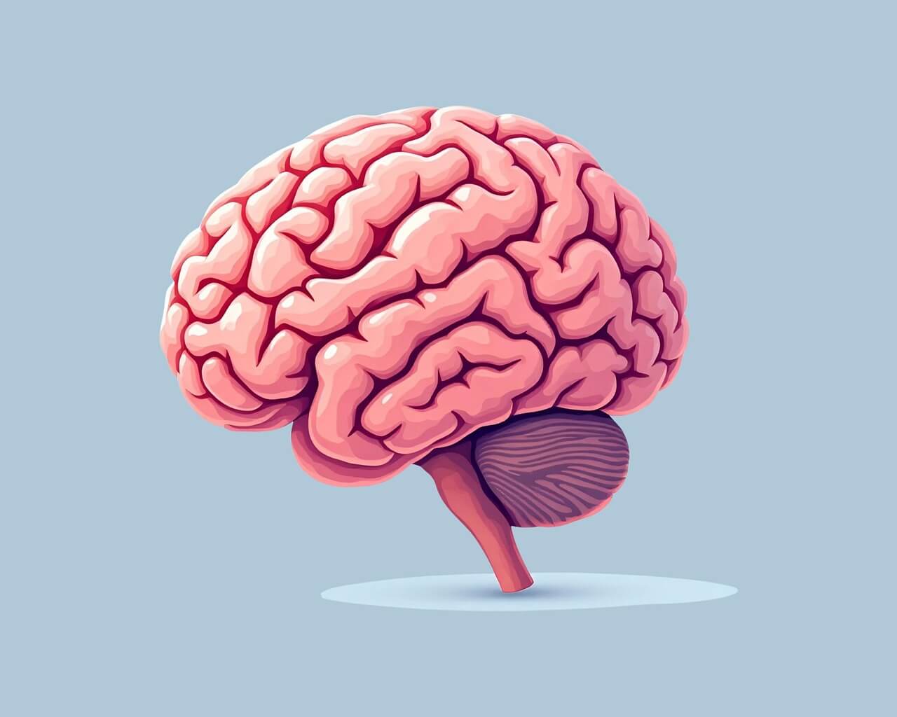 A D H D 는 어린이만의 질병일까 성인 A D H D 자가 진단 가이드