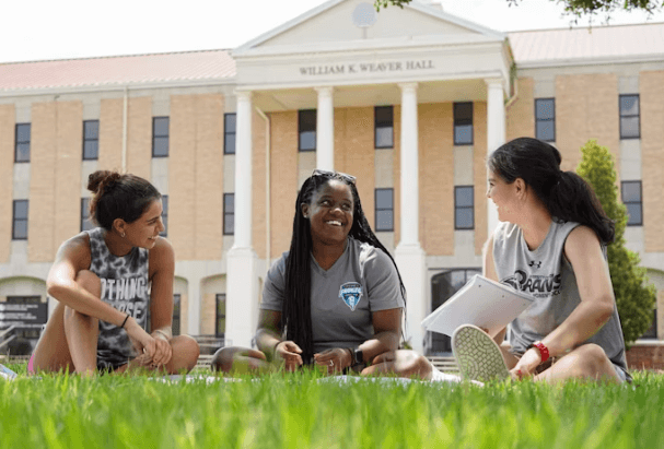 20대/30대 영양제 추천: 면역력 강화 필수템 총정리!