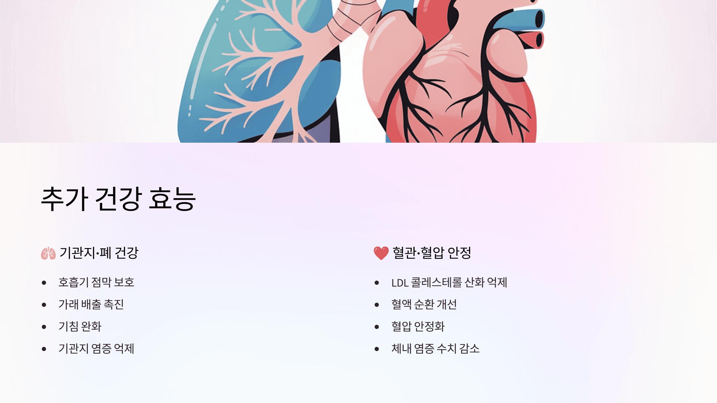 마가목 열매 효능, 면역·관절 건강에 효과? 주의사항 총정리