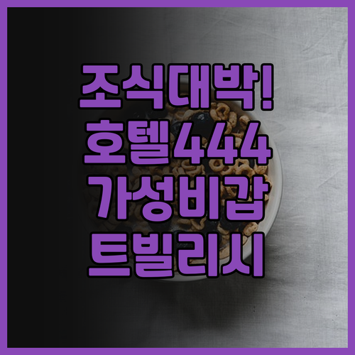 호텔444 조식 서비스가 훌륭한 트빌..
