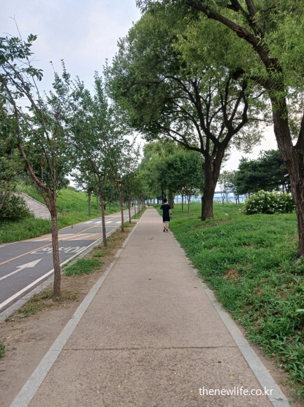 푸른 나무 아래 조용한 식후 낮잠을 피하기 위해서 산책길을 걷는 사람의 뒷모습