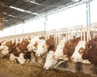 손해평가사 시험 일정 및 과목 2025