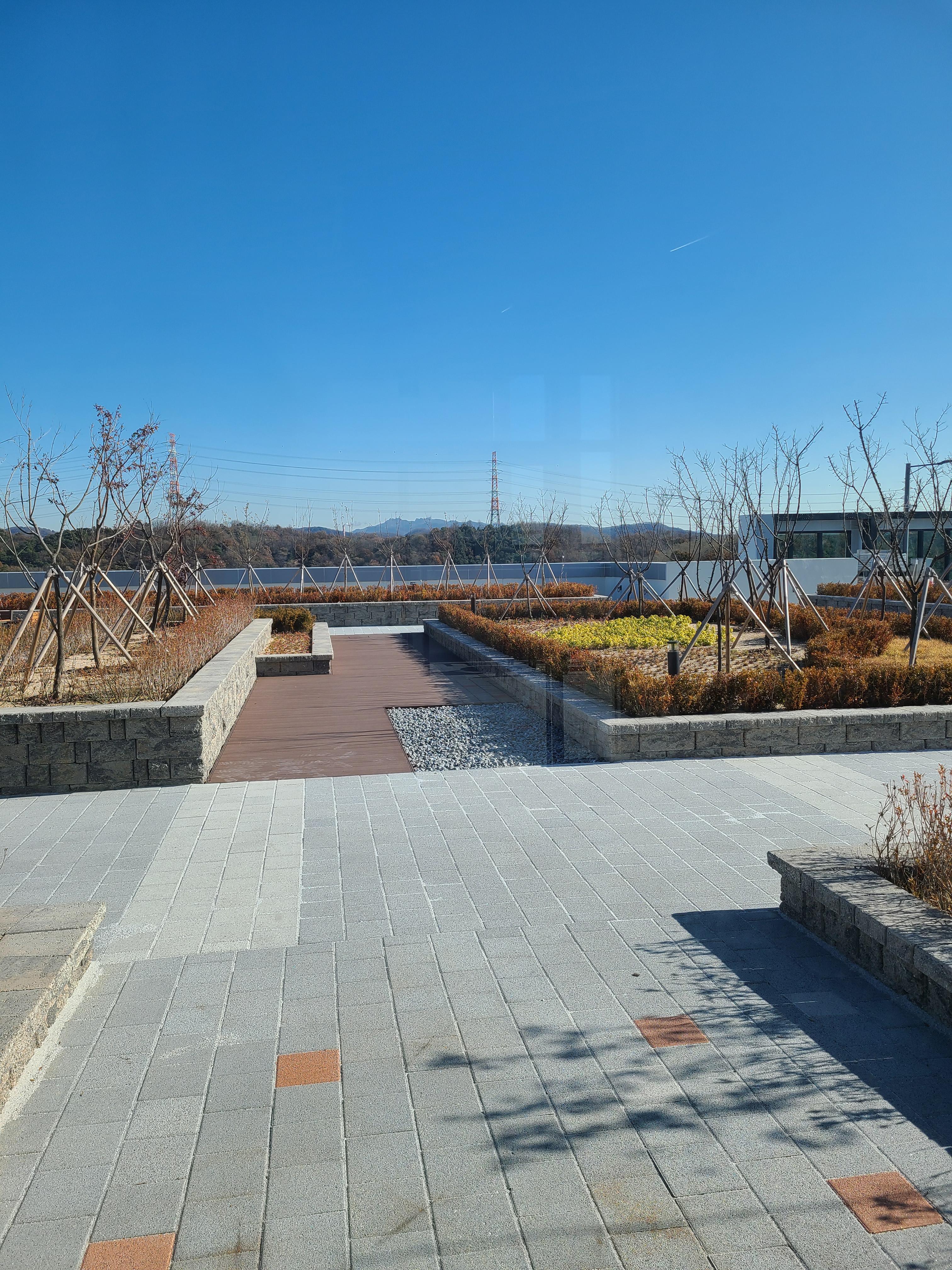 대창매화센트럴 M플렉스 옥상2