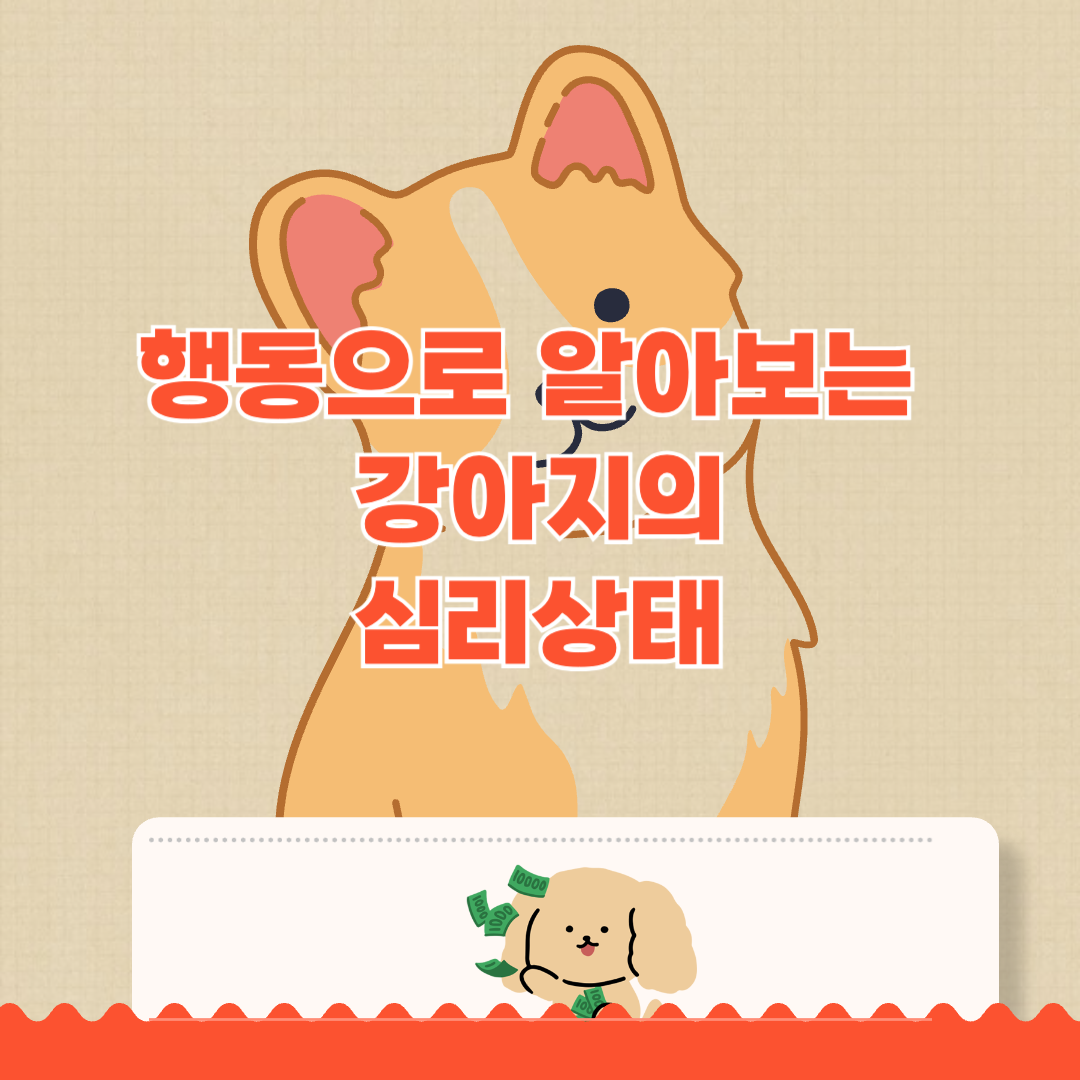 행동으로 알아보는 강아리 심리상태
