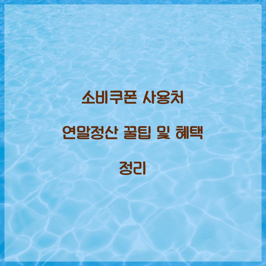 소비쿠폰 사용처