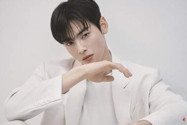 차은우 130억 추징금 폭탄 터진 진짜 이유, 경기 강화도 1인 기획사 편법 감면 논란과 국세청 세무조사 핵심 총정리