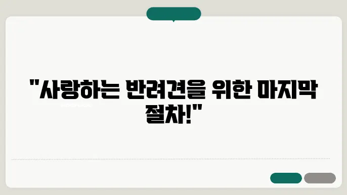 애견 사망 신고 절차