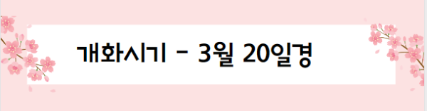 봄꽃 여행지