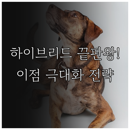 비즈니스 이점 극대화 하이브리드 워크..