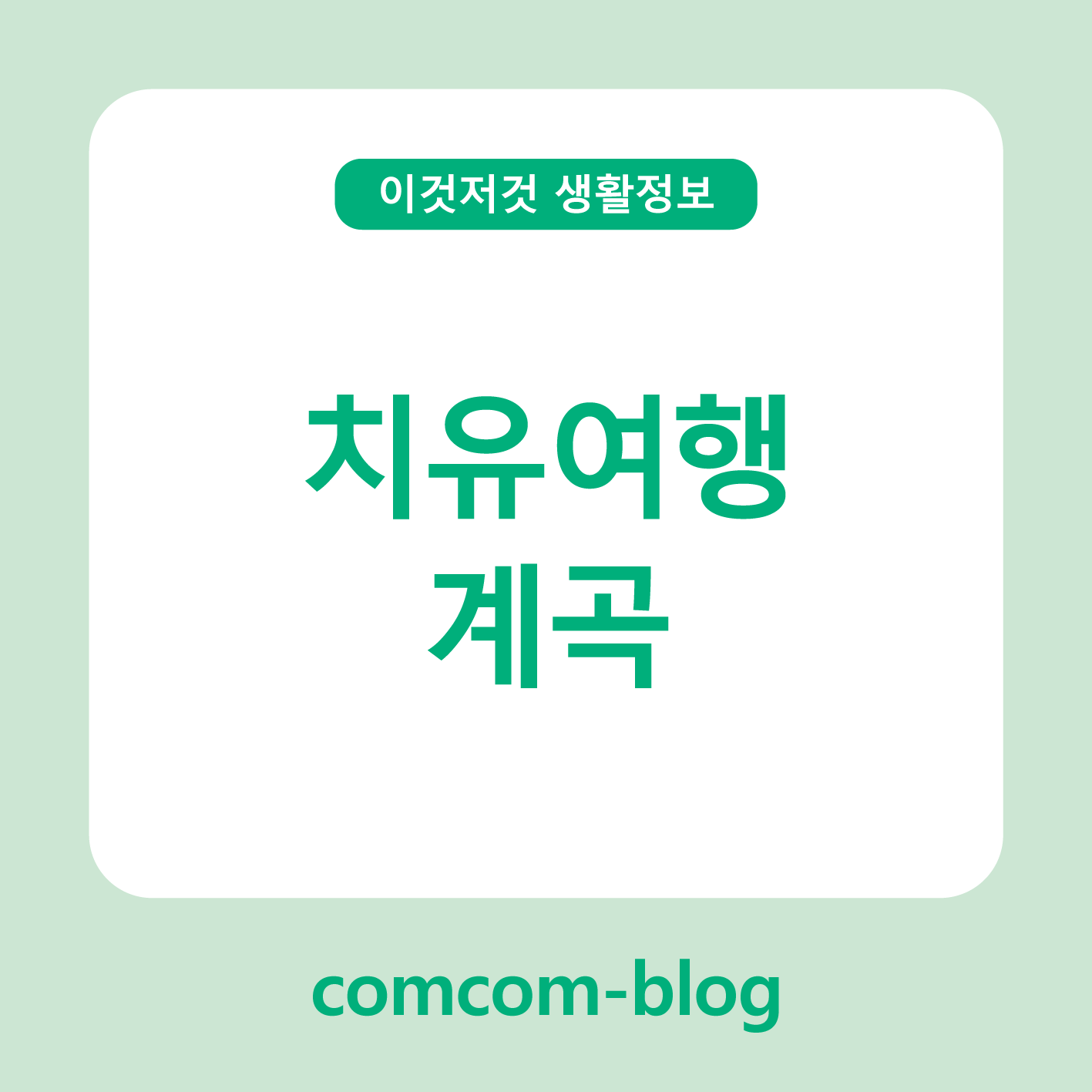🏞️마음까지 시원해지는 계곡 치유여행, 자연으로의 작은 탈출