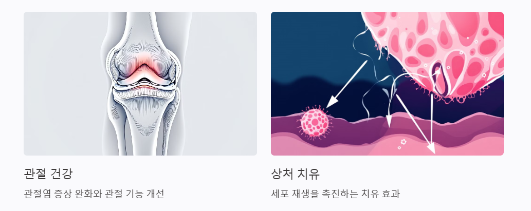 의약품 분야 활용