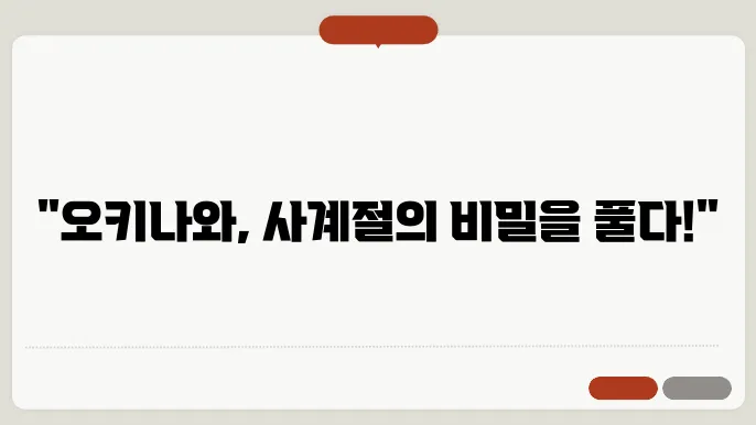 오키나와 여행 시기, 언제 가야 가장 좋을까? 계절별 추천 코스로 완벽 준비