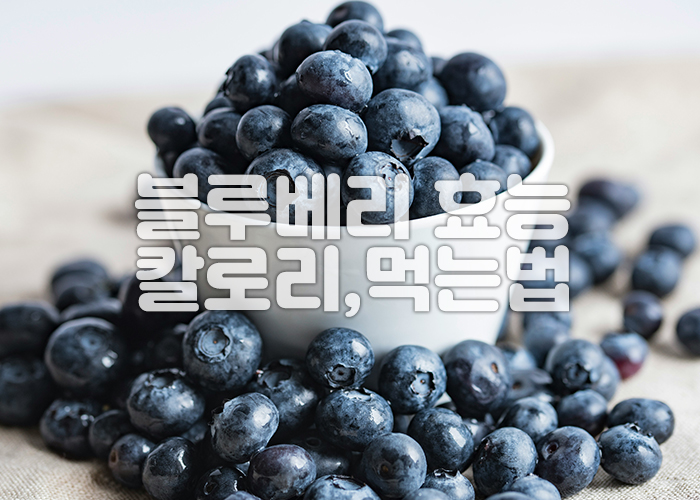 흰그릇에 담겨져 있는 블루베리