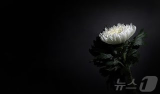 허영호 별세