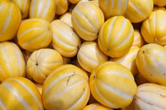 참외 효능 및 영양 정보 섭취 효과 정리_22