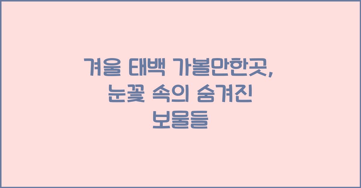 겨울 태백 가볼만한곳