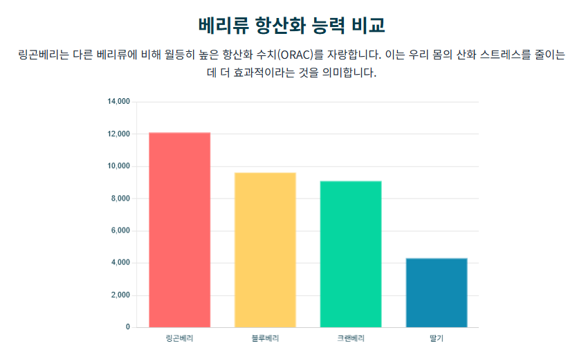 링곤베리 효능이 궁금하세요? 부작용, 섭취법, 항산화, 면역력 완벽 정리!