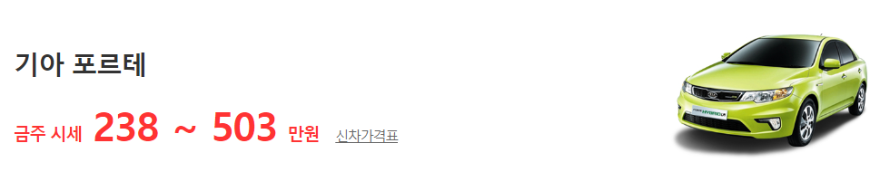 포르테 금주 시세