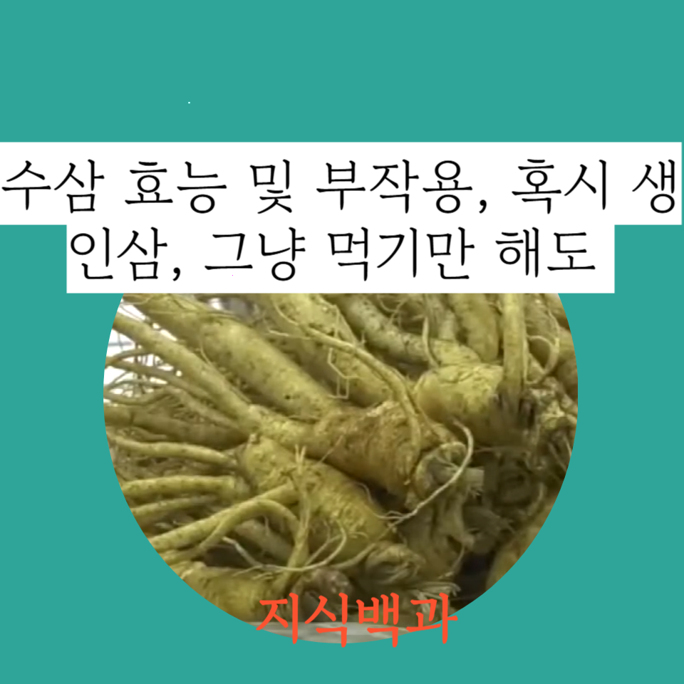 수삼