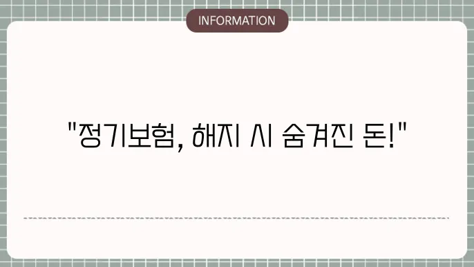 정기보험 해지환급금