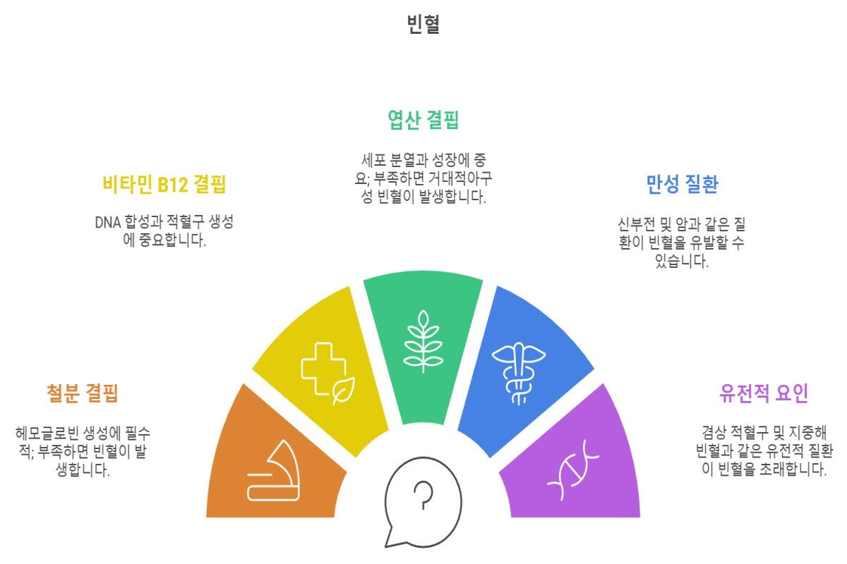 빈혈에 좋은 음식