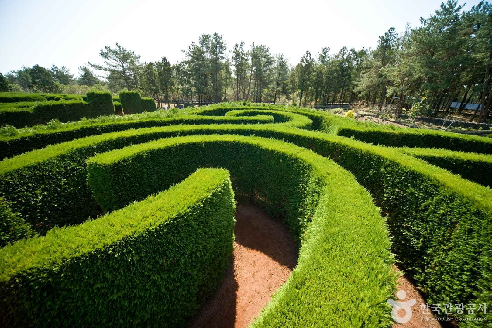 제주 김녕미로공원