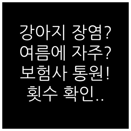 강아지 여름 장염 자주 걸린다면 보험..