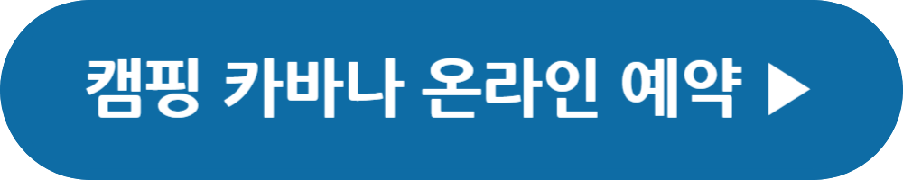 오션월드 운영시간, 입장권 할인, 숙박패키지, 셔틀버스, 카바나 예약, 오션패스