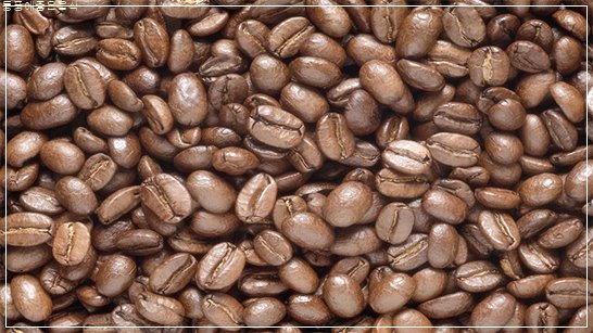 통풍에 좋은 음식