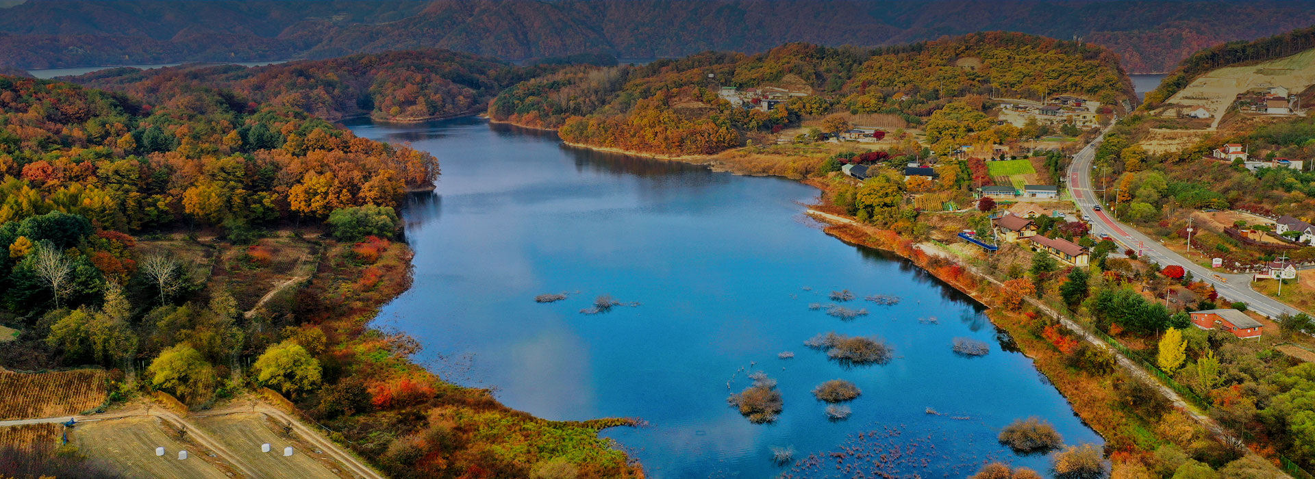 소(牛)맥 프리미엄 페스티벌