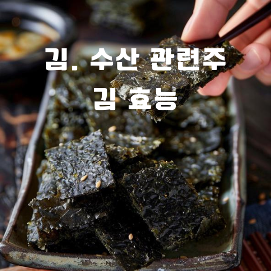 김 수산 관련주 김 효능 가격상승 원인