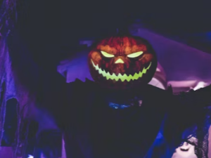 할로윈데이 코스튬