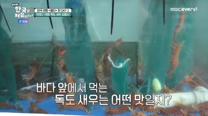 독도새우-횟집