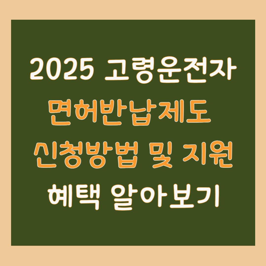 2025 고령운전자 면허반납제도 신청방법 및 지원혜택 알아보기