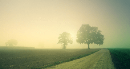 귀로 쓴 시 표현과 관련된 이미지