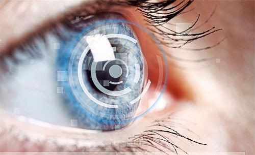 눈건강에 좋은 과일, 눈건강에 좋은 채소