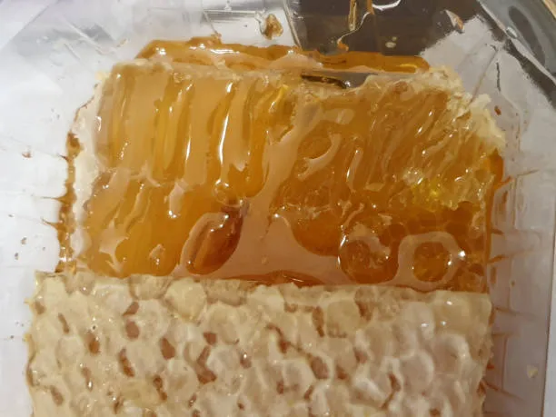 프로폴리스-효능-후기-기관지