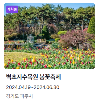 6월 축제 일정표