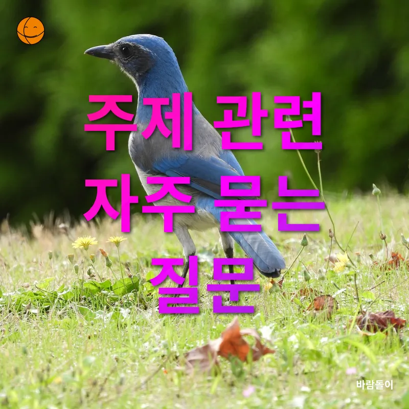 천연 스크럽 만들기_4