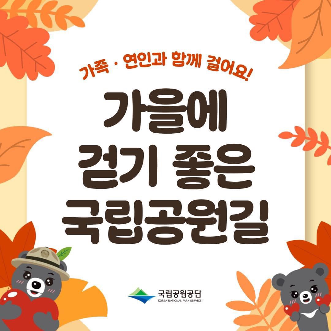 가을단풍