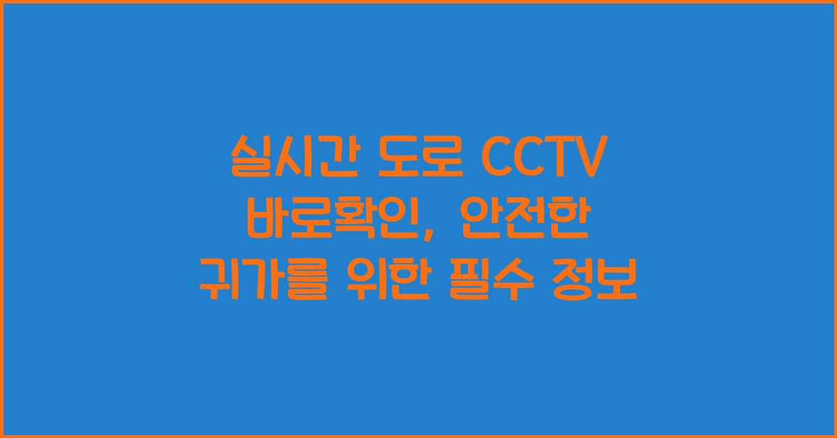 실시간 도로 cctv 바로확인
