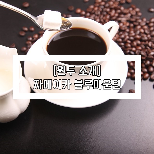 자메이카 블루마운틴 한잔