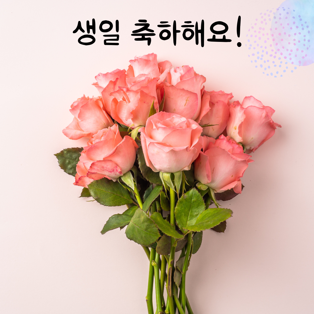 .생일 축하 메세지 꽃다말 이미지 모음