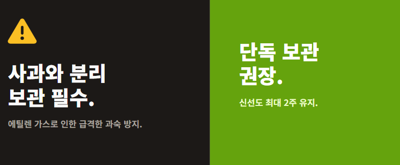 키위 보관법