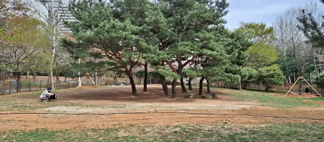 일산서구 반려동물공원