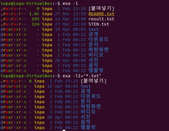 exa 명령어