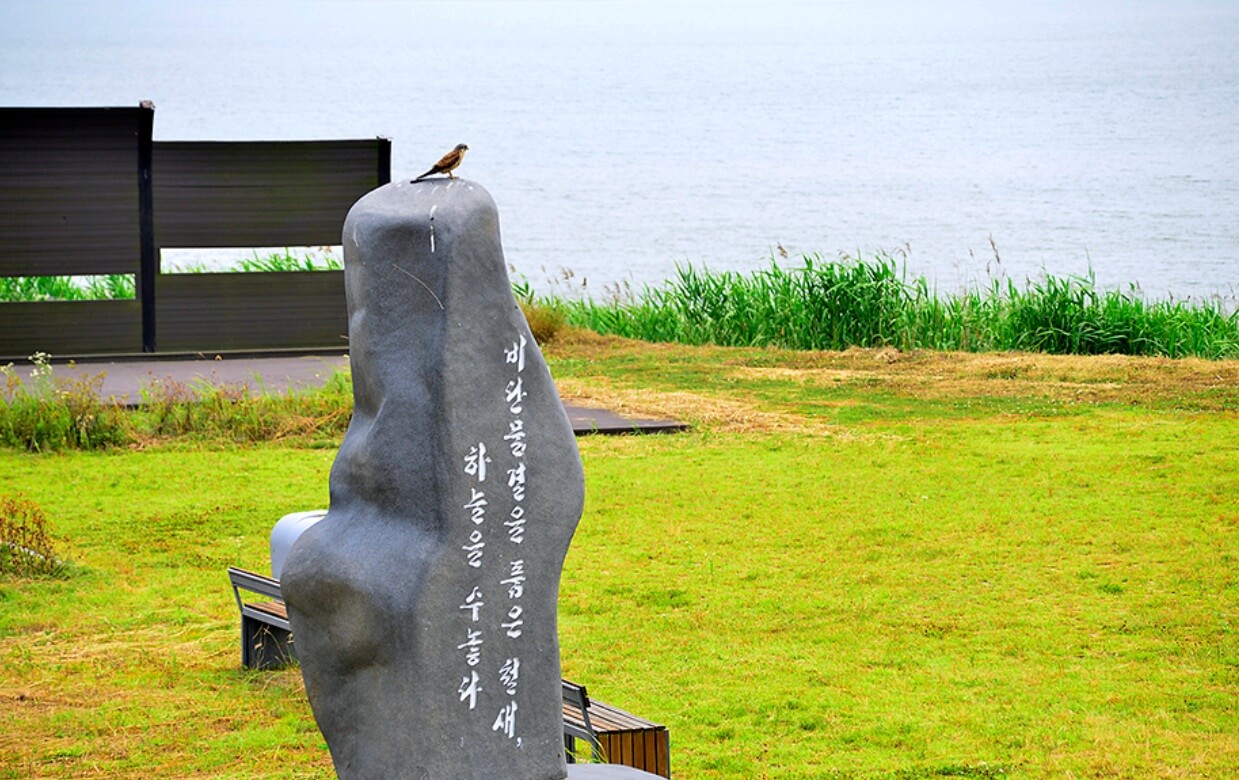 서천 가볼만한곳 베스트10 금강하 & 철새조망대