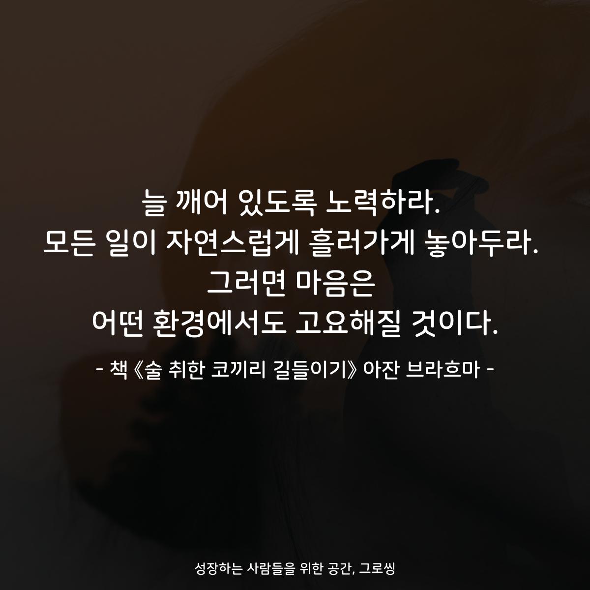 늘 깨어 있도록 노력하라.
모든 일이 자연스럽게 흘러가게 놓아두라.
그러면 마음은
어떤 환경에서도 고요해질 것이다.